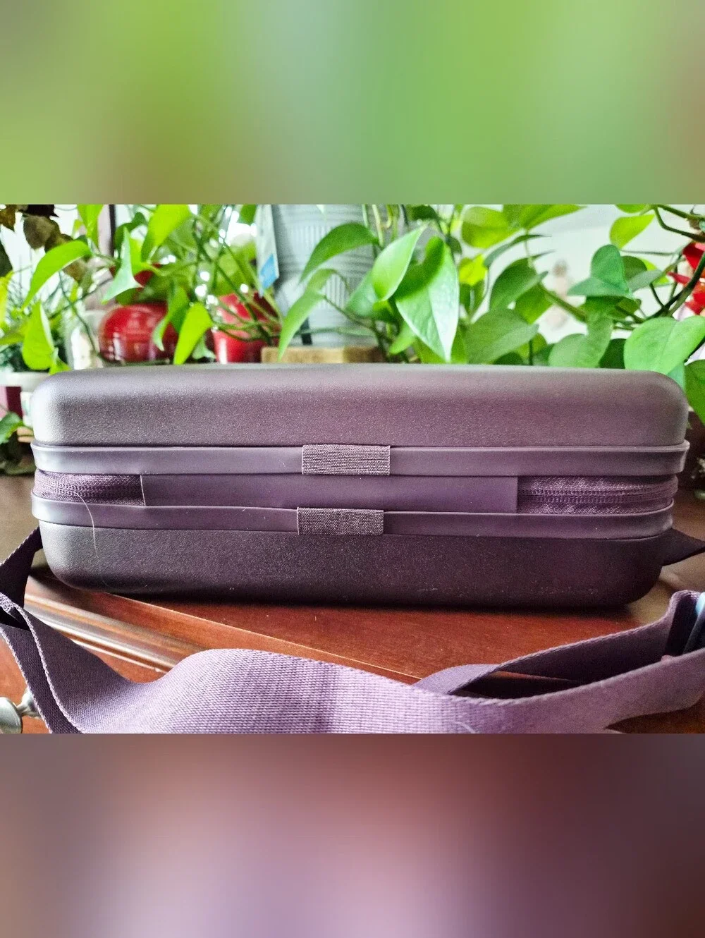 Samsonite Virtuosa Train Case
